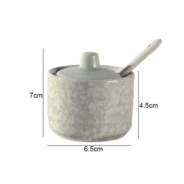 Pots d'assaisonnement en céramique rétro, salière et poivrière, outils à épices de cuisine, organisa