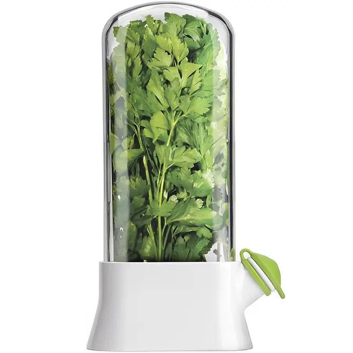 Économiseur d'herbes pour réfrigérateur, bouteille de conservation des légumes, dosette de conservat