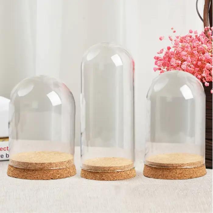 Couvercle hémisphère en verre transparent 10-18cm, dôme en verre, protection des fleurs sèches pour 