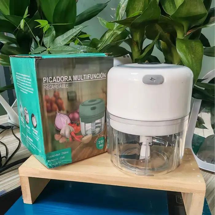 Mini hachoir électrique rechargeable, broyeur d'ail multifonctionnel, hachoir à viande pour usage do