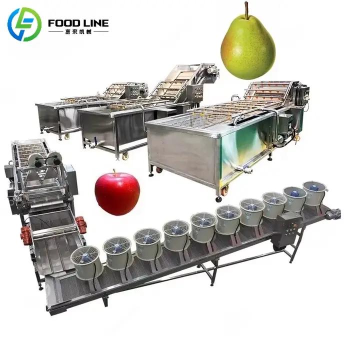 Machine de lavage et de séchage d'air pour légumes et fruits, installation complète de pommes aux fr