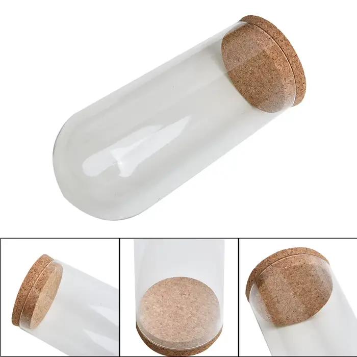 Couvercle hémisphère en verre transparent 10-18cm, dôme en verre, protection des fleurs sèches pour 
