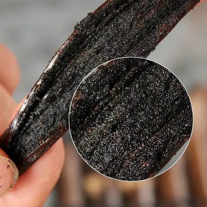 Gousse de vanille naturelle de Madagascar de qualité supérieure, 10/20 pièces, pour pot-pourri et fabrication d'essences, 14-17 cm