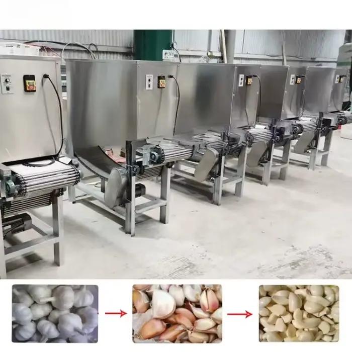 Machine de fabrication de pelles à ail robustes en acier inoxydable sur mesure