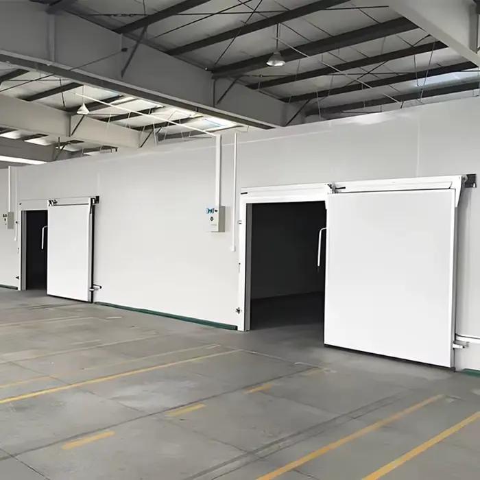 Chambre froide/Freezer à économie d'énergie pour légumes, fruits, viande, bœuf, concombre de mer – Personnalisable