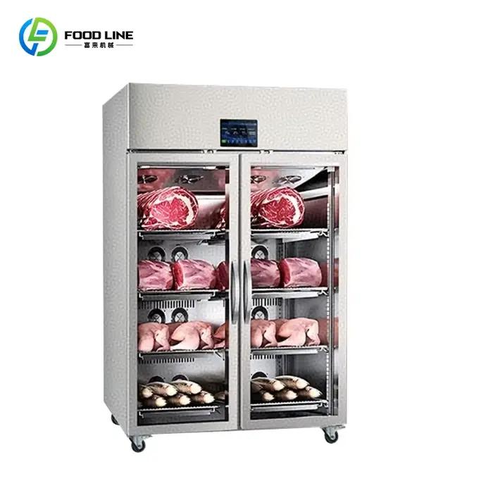 Décongélateur rapide de viande en acier inoxydable, armoire de décongélation sans givre, économe en énergie pour cuisine commerciale et magasin