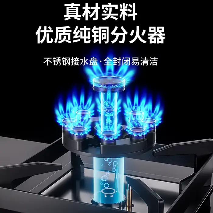Royalstar cuisinière à gaz Double brûleur économie d'énergie ménage gaz naturel GPL table de cuisson AO