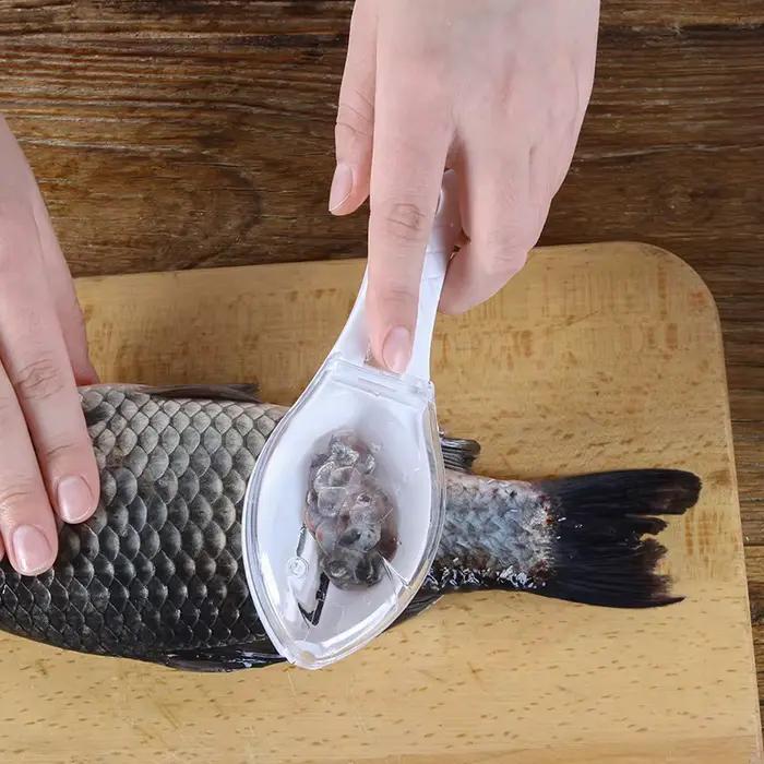 Râpes à écailles de poisson