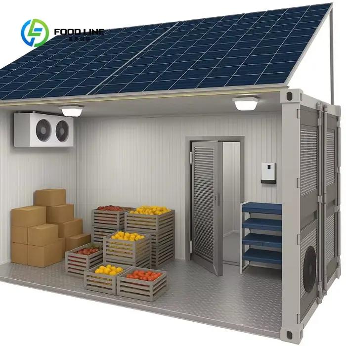 Conteneur congélateur solaire personnalisé et économique avec garantie d'un an, facile à utiliser pour le stockage des légumes et des fruits