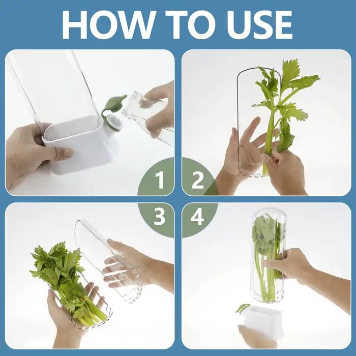 Économiseur d'herbes pour réfrigérateur