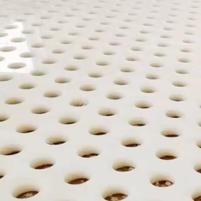 Panneau en plastique PP blanc de qualité alimentaire, panneau perforé à trou circulaire creux, panneaux imperméables résistants au soleil et aux acides et aux alcalis