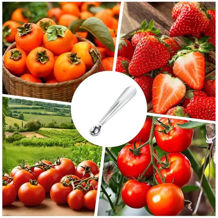 Outil de carottage de fruits en acier inoxydable pour adultes, conception ergonomique, facile à manier, adapté aux tomates et fraises, polyvalent pour divers fruits et légumes, nettoyage facile, pour usage domestique