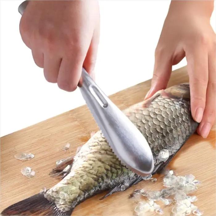 Brosse détartreur de poisson, dissolvant de détartreur de poisson avec dents de scie en acier inoxydable, élimine facilement les écailles de poisson, brosse de nettoyage, grattoir, outil de cuisine