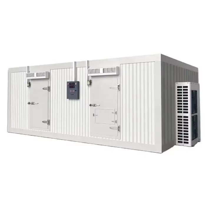 Chambre froide/Freezer à économie d'énergie pour légumes, fruits, viande, bœuf, concombre de mer – Personnalisable