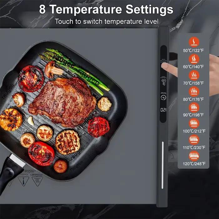 Plateau chauffant électrique pour aliments