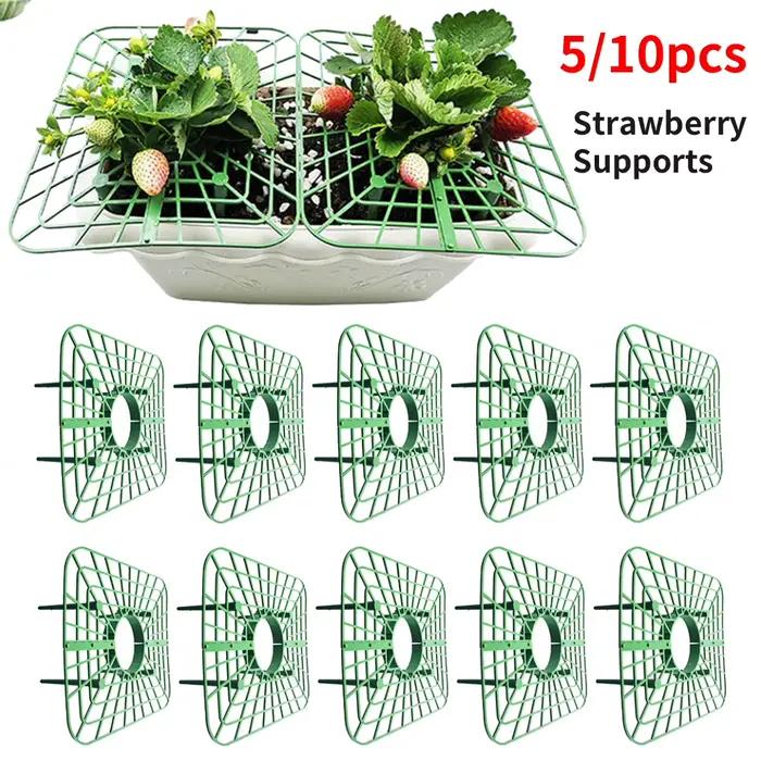 5/10 supports carrés en plastique pour fraises, tomates et poivrons – Supports de jardinage pour plantes vertes