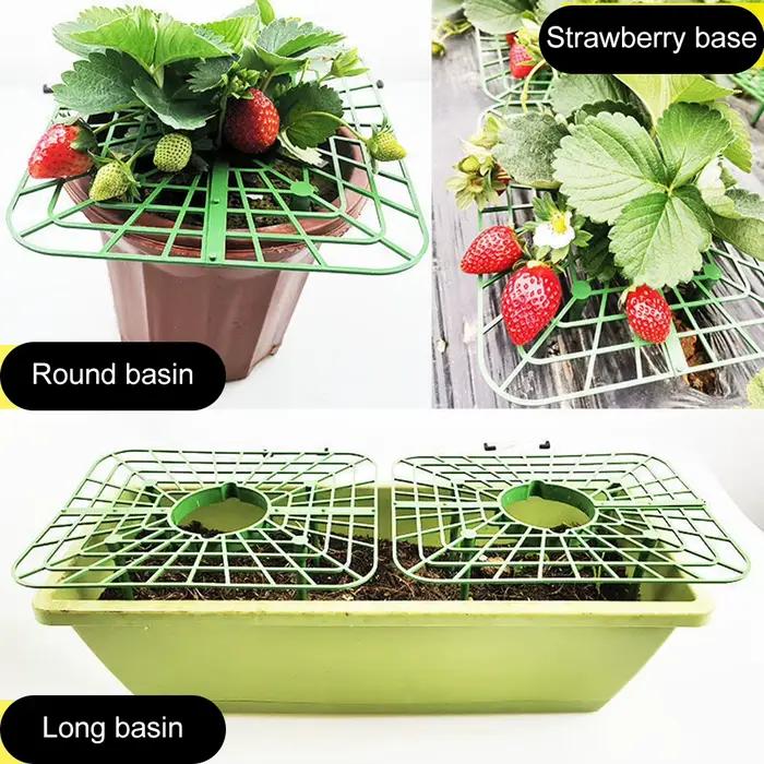 5/10 supports carrés en plastique pour fraises, tomates et poivrons – Supports de jardinage pour plantes vertes