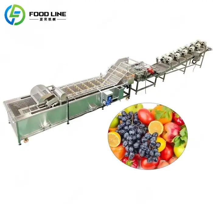 Machine de lavage et de séchage d'air pour légumes et fruits, installation complète de pommes aux fruits, pour trancher la cire propre