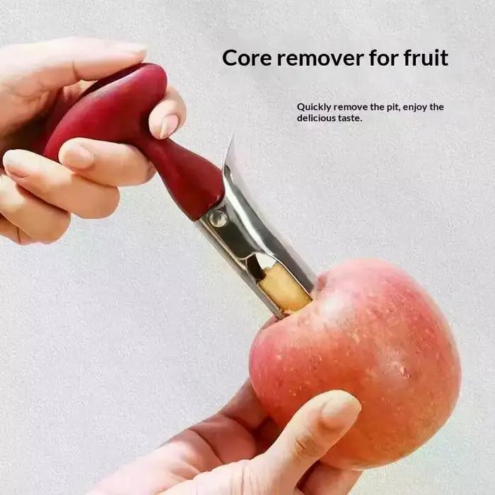 Décortiqueur de fruits en acier inoxydable