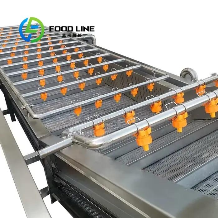 Lave-légumes à bulles avec module de désinfection intégré en acier inoxydable pour nettoyage efficace des légumes en agriculture et transformation alimentaire occassions spéciales
