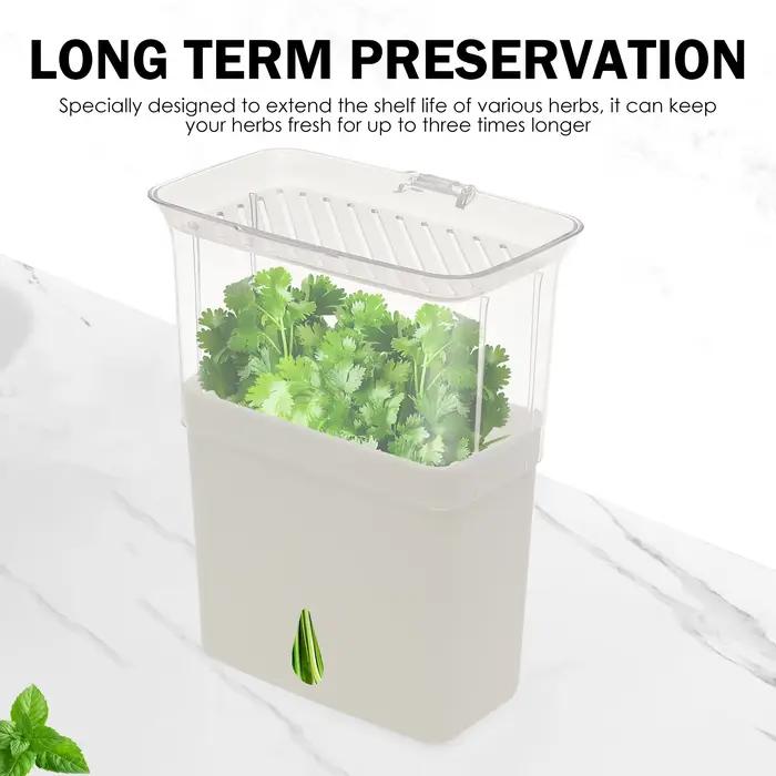 Conteneur de stockage d'herbes transparent