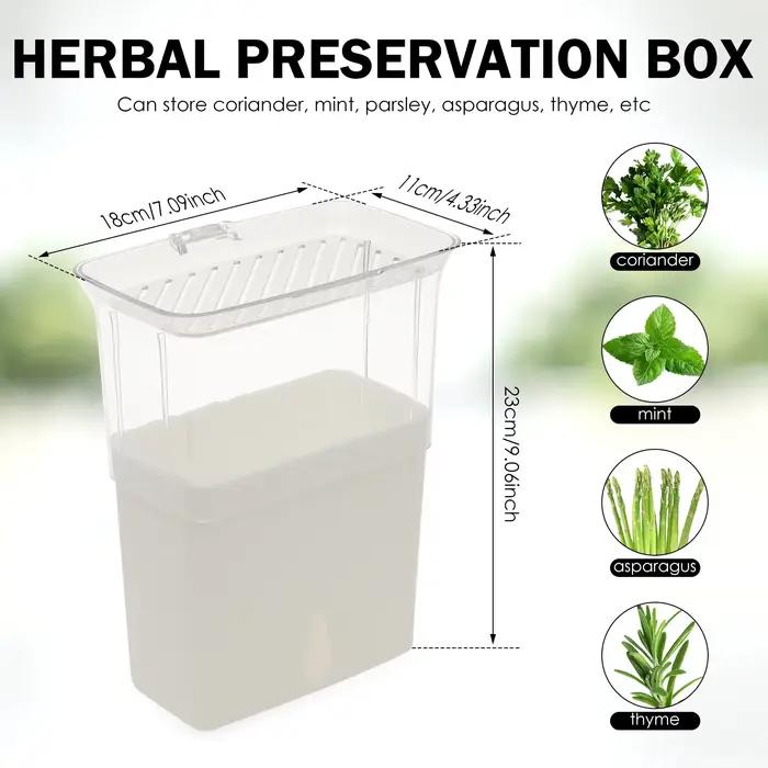 Conteneur de stockage d'herbes transparent