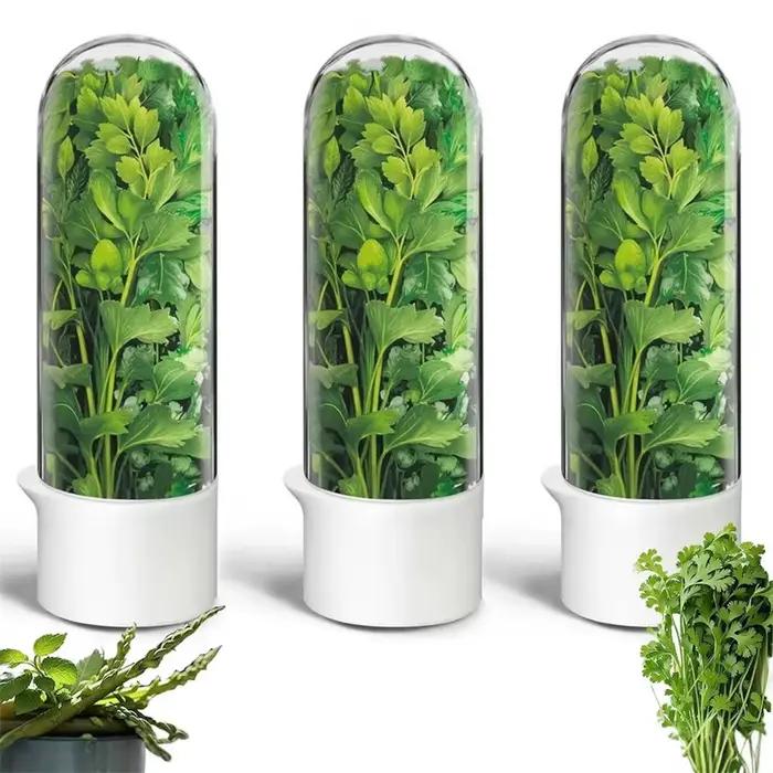 Bouteille de conservation des herbes