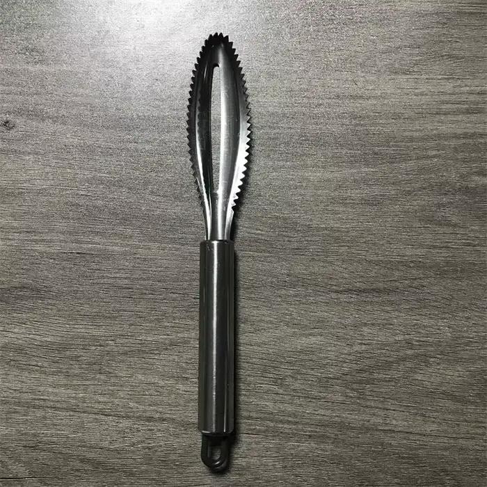 Nettoyeur d'écailles de poisson en acier inoxydable, grattoir, éplucheur, outil, peau de poisson, ra