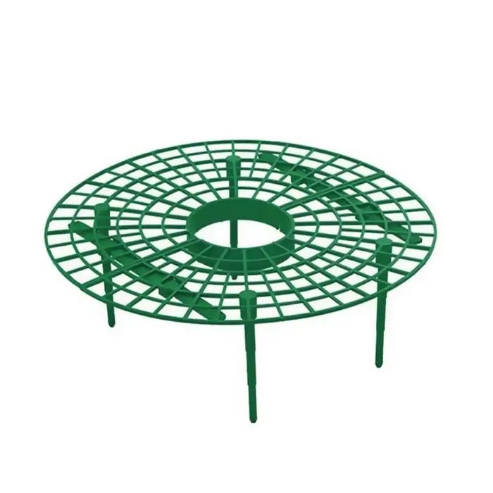 Supports de fraises pour conserver les plantes et les fruits, support de culture de légumes, outils