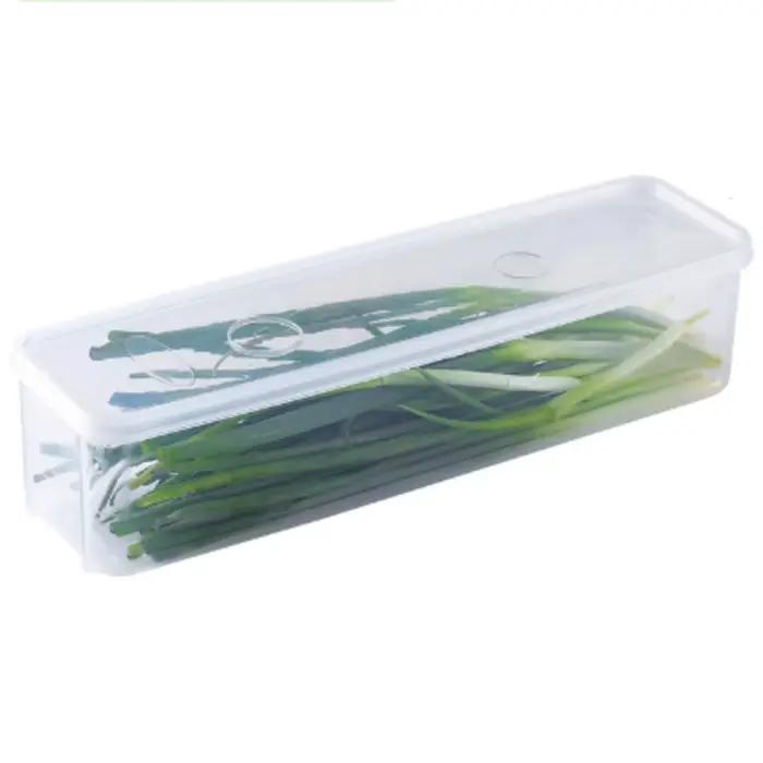 Cilantro – boîte de rangement d'oignons, réfrigérateur de cuisine, organisateur d'herbes fraîches av