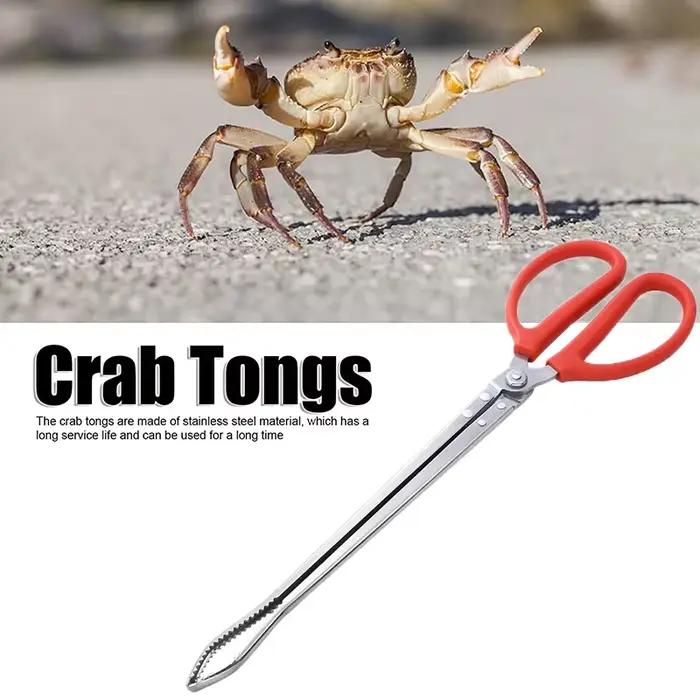 Pince à crabe multifonction en acier inoxydable, outil à main durable, pince à anguilles, longue poignée, cuisine coordonnante, fruits de mer, stable