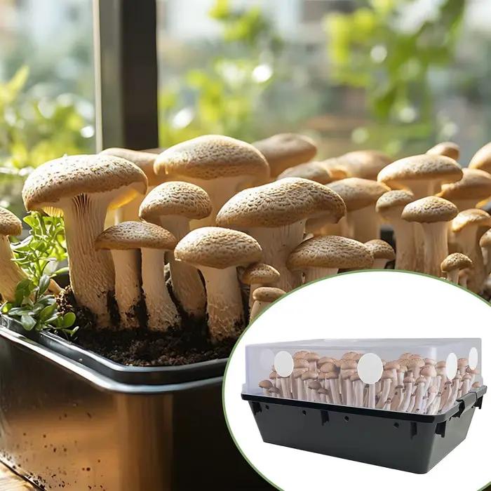 24x disques filtrants adhésifs en forme de champignon pour la conservation de l'humidité boîte de culture de champignons filtres monotub écran de rétention d'humidité en coton
