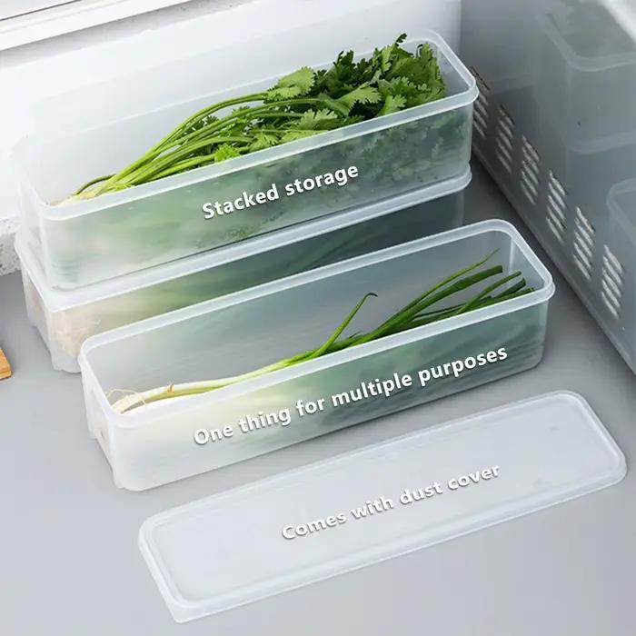 Cilantro – boîte de rangement d'oignons
