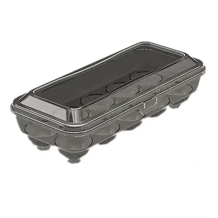 Boîte de rangement d'œufs en plastique transparent et portable pour 10/15 œufs, avec plusieurs couleurs pour une présentation élégante et moderne pour la maison et les occasions spéciales