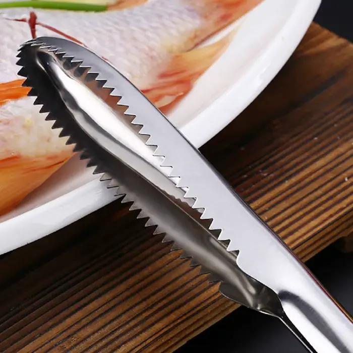 Brosse détartreur de poisson, dissolvant de détartreur de poisson avec dents de scie en acier inoxydable, élimine facilement les écailles de poisson, brosse de nettoyage, grattoir, outil de cuisine