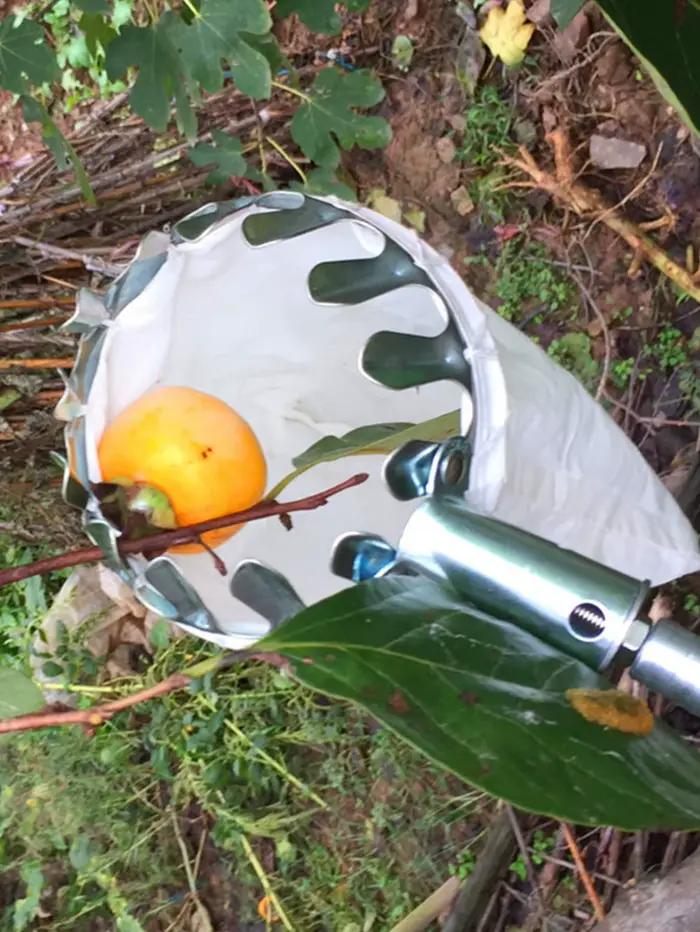 Machine de cueillette de fruits, dispositif de cueillette de fruits, pratique et pratique, outil de jardinage