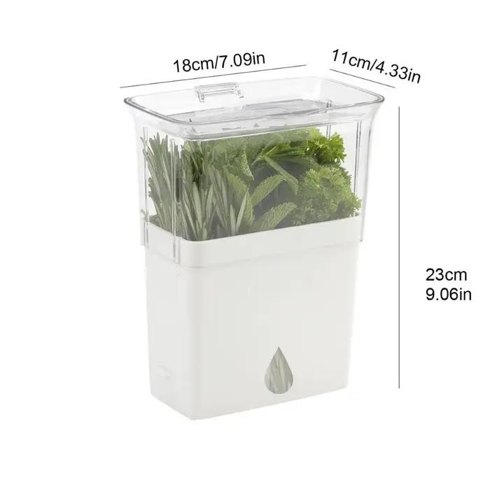 Récipient pratique en plastique pour herbes fraîches