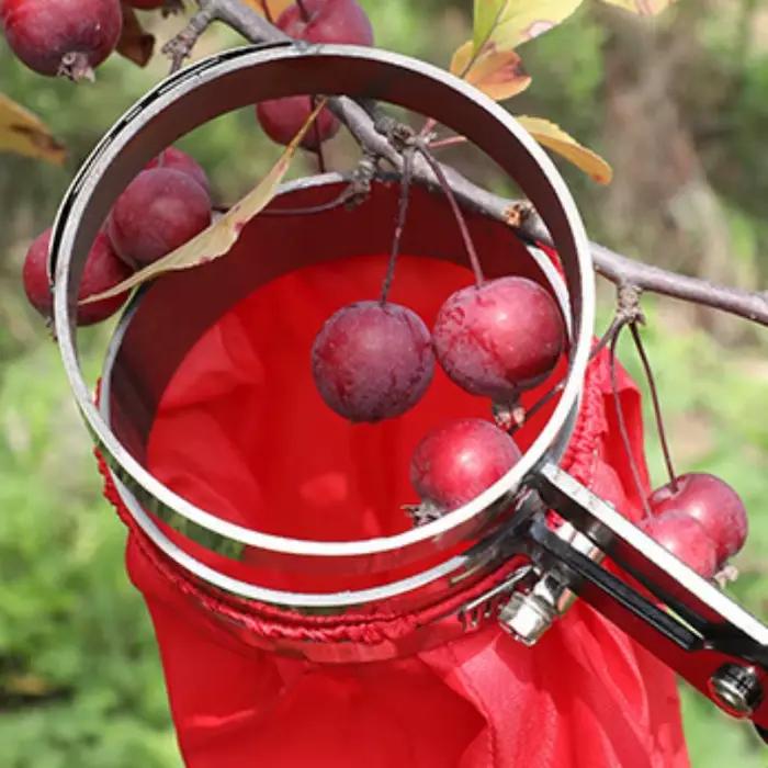 Ciseaux de cueillette professionnels efficaces, outils à main de cueillette de goji et de piment, outils de jardinage, économie de main-d 'œuvre, sacs spéciaux