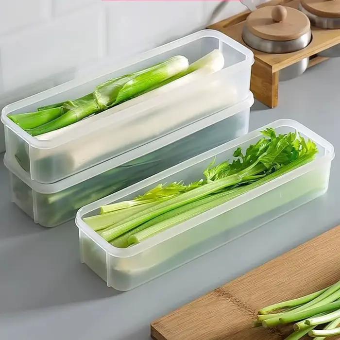 Cilantro – boîte de rangement d'oignons