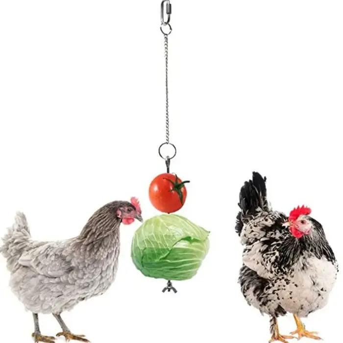 Brochette de légumes de poulet en acier inoxydable, longueur réglable, antirouille, mangeoire suspendue, créative, facile à installer