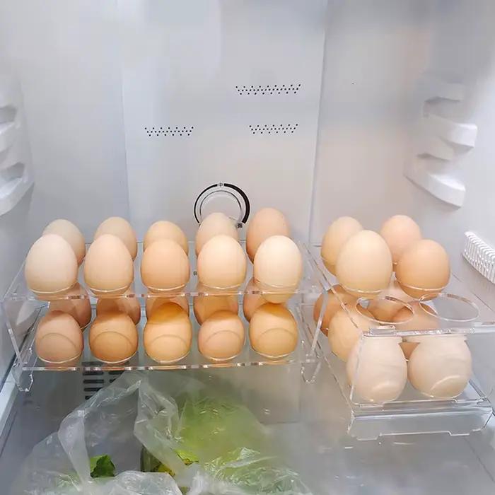 Conteneur de stockage d'œufs à 6/10 trous