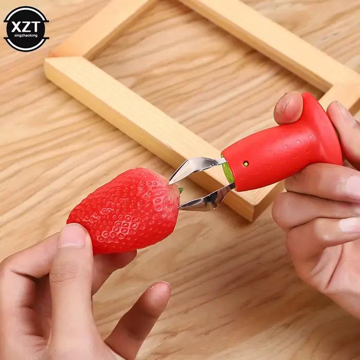 Dissolvant de fruits et de cuir chevelu créatif pour la maison