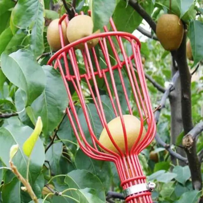Machine de cueillette de fruits, dispositif de cueillette de fruits, pratique et pratique, outil de jardinage