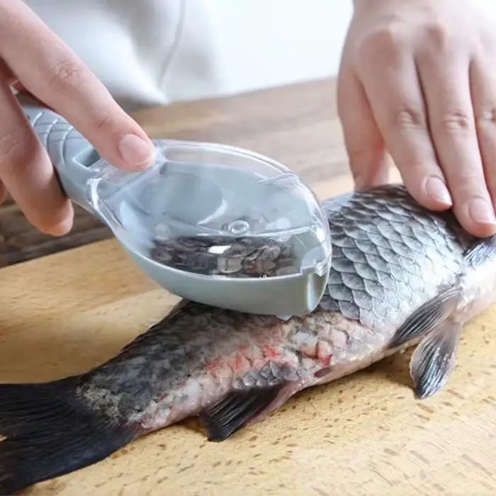 Grattoir à écailles de poisson