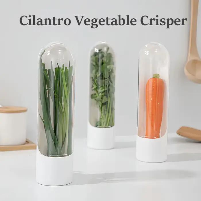 Réfrigérateur herbe bac à légumes