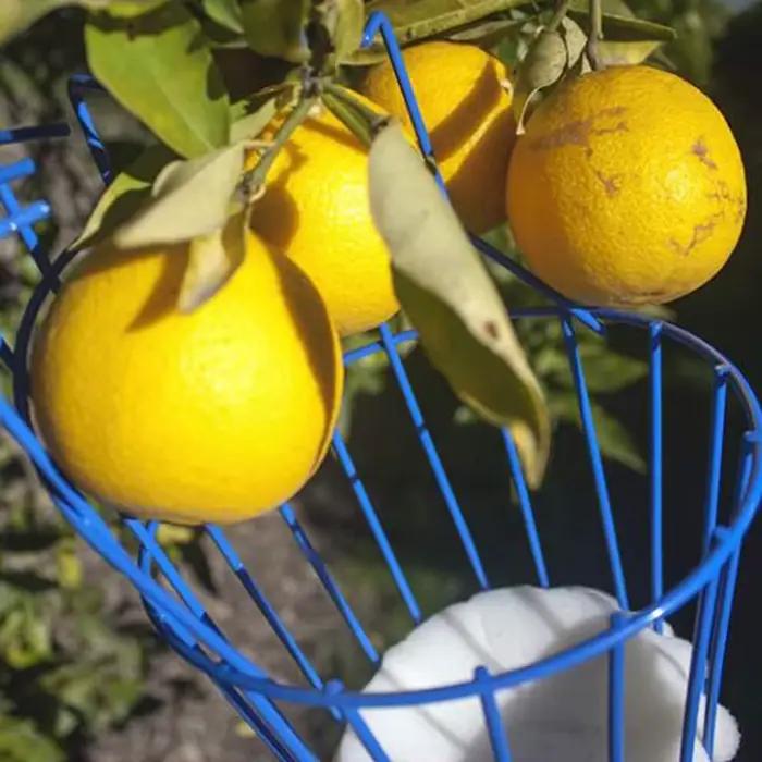 Machine de cueillette de fruits, dispositif de cueillette de fruits, pratique et pratique, outil de jardinage