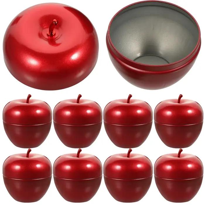 Lot de 10 boîtes de rangement en fer blanc