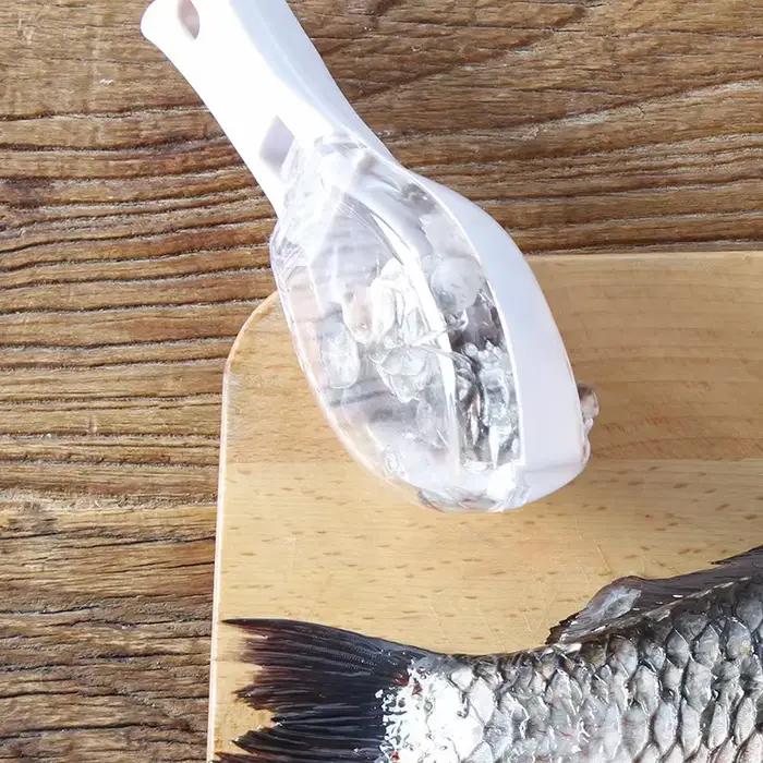 Grattoir à écailles de poisson