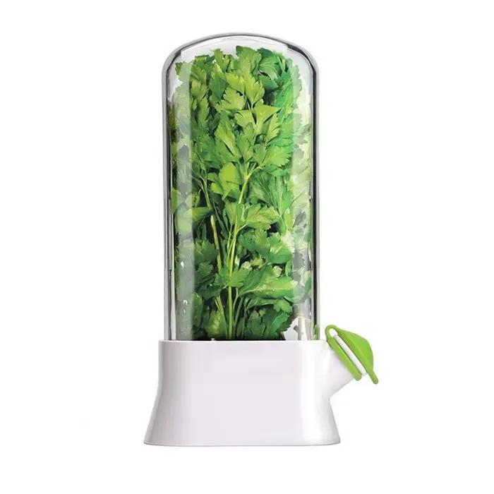 Boîte de conservation pour herbes, boîte de rangement en plastique, design moderne, réutilisable, pour coriandre, persil, oignons verts et asperges