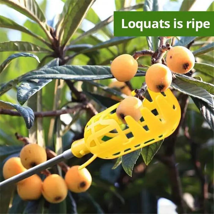 Ferme Jardin Cueillette DeviceGarden Outils Panier Profond Fruits Picker Tête Pratique Fruit Catcher Pomme Pêche Cueillette